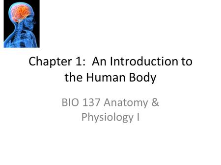 Chapter 1: An Introduction to the Human Body BIO 137 Anatomy & Physiology I.