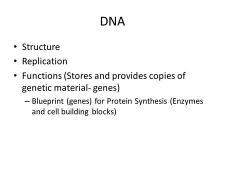 DNA Structure Replication Functions (Stores and provides copies of genetic material- genes) – Blueprint (genes) for Protein Synthesis (Enzymes and cell.
