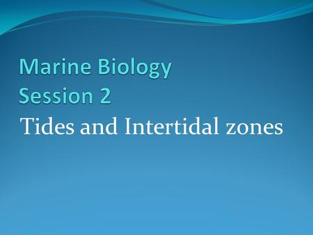 Tides and Intertidal zones. First a Review Get your oceanography toolbox out Let’s try to fill in the parts.