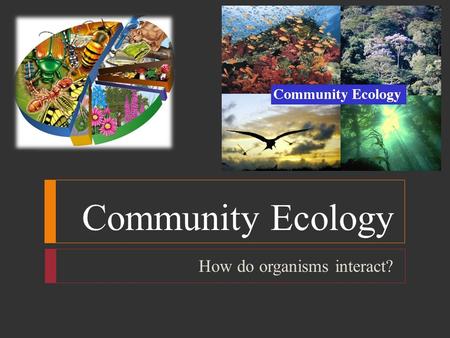 Community Ecology How do organisms interact?. Community Ecology  Ecologists use 3 characteristics to describe a community: 1. Physical Appearance: size,