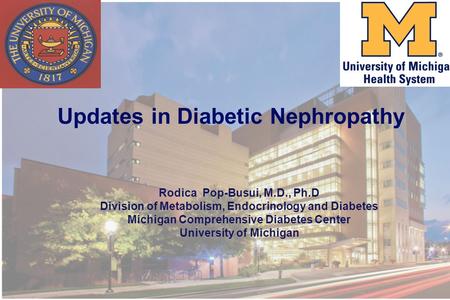 Updates in Diabetic Nephropathy Rodica Pop-Busui, M.D., Ph.D Division of Metabolism, Endocrinology and Diabetes Michigan Comprehensive Diabetes Center.
