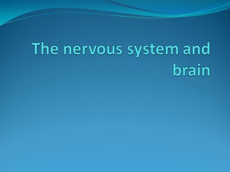 Two functions of the nervous system a. Somatic, voluntary movement b. autonomic, involuntary movement.