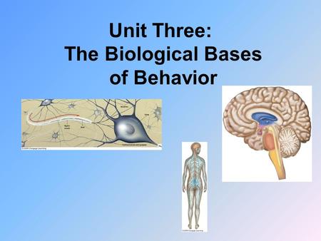 Unit Three: The Biological Bases of Behavior. The body’s two communication systems, the nervous system and the endocrine system, both use chemical messengers.