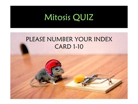 Mitosis QUIZ PLEASE NUMBER YOUR INDEX CARD 1-10. Hint: Some answers may be used more than once!!!