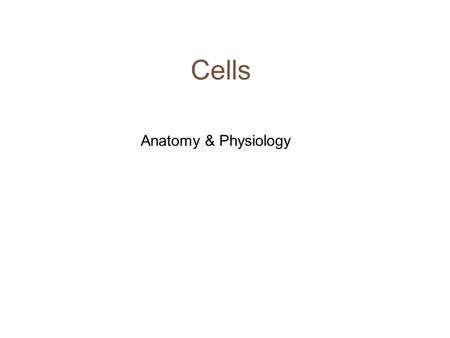 Cells Anatomy & Physiology What do you remember?  nimalcells.htmhttp://www.sciencegeek.net/Biology/review/U1a.