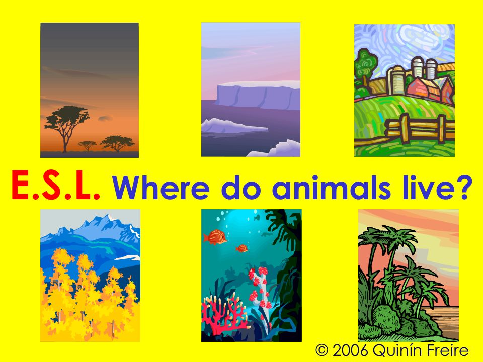 . Where do animals live? © 2006 Quinín Freire. - ppt download