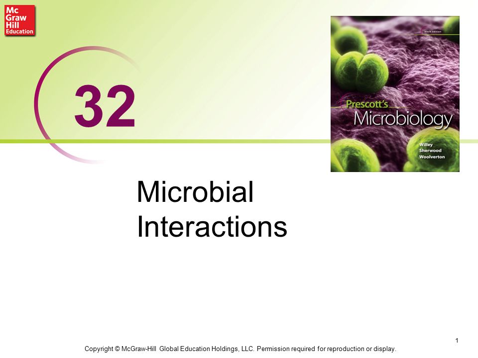 Microbial Interactions - ppt video online download