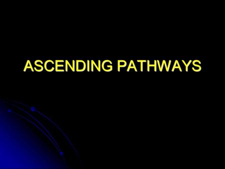 ASCENDING PATHWAYS. Ascending Pathways Three-neuron pathways: Three-neuron pathways: Primary sensory neurons: From external receptors Travel through dorsal.