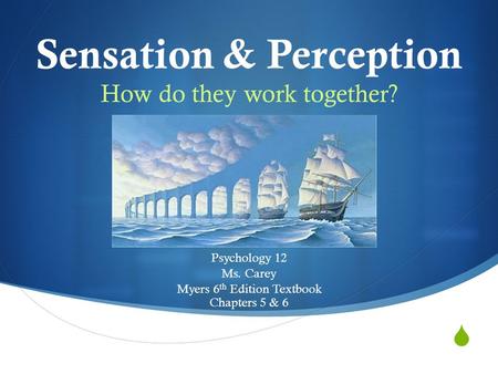 Sensation & Perception How do they work together?