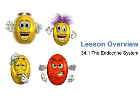 Lesson Overview Lesson Overview The Endocrine System Lesson Overview 34.1 The Endocrine System.