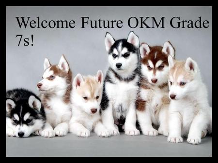 Welcome Future OKM Grade 7s!. How do I get involved at OKM? Clubs Athletics Fine Arts.