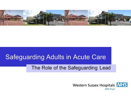 Safeguarding Adults in Acute Care The Role of the Safeguarding Lead.
