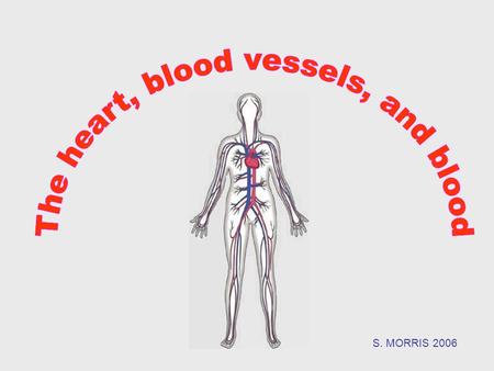 S. MORRIS 2006.  The circulatory system carries blood, oxygen, nutrients, carbon dioxide, wastes and other dissolved substances to and from different.