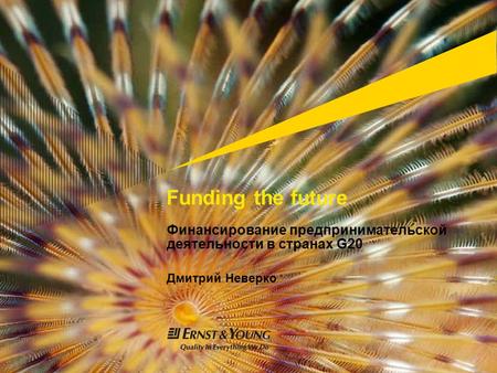 Funding the future Финансирование предпринимательской деятельности в странах G20 Дмитрий Неверко.