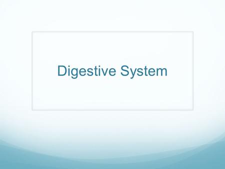 Digestive System. 3 Main Functions a.Digestion – breakdown of foods within stomach and intestines for use by body’s cells b.Absorption – passage of digested.