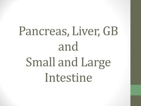 Pancreas, Liver, GB and Small and Large Intestine.