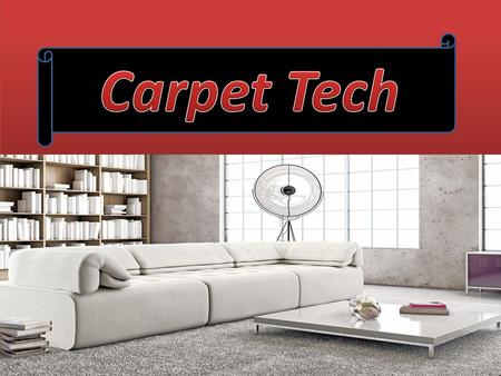 Carpet Stain Removal Services in Australia
