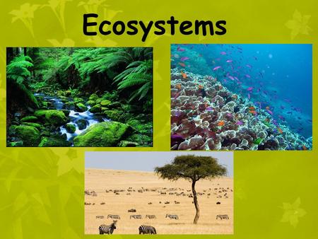 Ecosystems. Ecosystem = all the organisms that live in a particular place, AND their nonliving and living environment Ecosystems are made and shaped by.