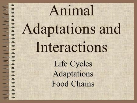 Animal Adaptations and Interactions