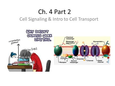 Ch. 4 Part 2 Cell Signaling & Intro to Cell Transport.