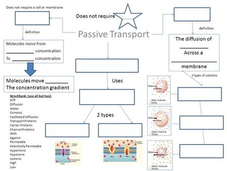 Passive Transport Does not require The diffusion of __________