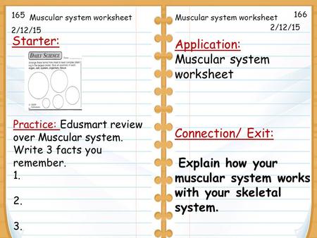 2/12/15 Starter: 2/12/15 165 166 Application: Muscular system worksheet Connection/ Exit: Explain how your muscular system works with your skeletal system.