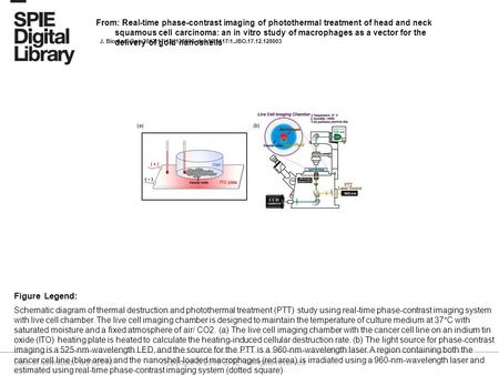Date of download: 6/21/2016 Copyright © 2016 SPIE. All rights reserved. Schematic diagram of thermal destruction and photothermal treatment (PTT) study.