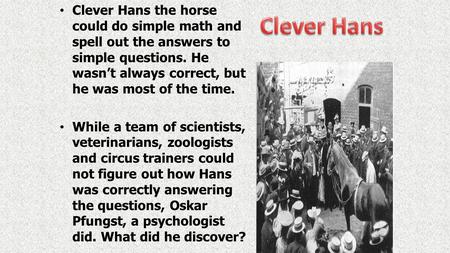 Clever Hans the horse could do simple math and spell out the answers to simple questions. He wasn’t always correct, but he was most of the time. While.