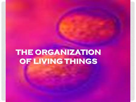 THE ORGANIZATION OF LIVING THINGS. BENEFITS OF BEING MULTICELLULAR Larger Size: larger organisms are prey for fewer predators. Also, large predators can.