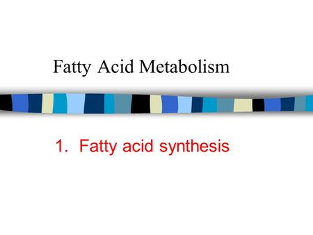 Fatty Acid Metabolism 1. Fatty acid synthesis.