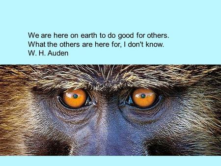 We are here on earth to do good for others. What the others are here for, I don't know. W. H. Auden.