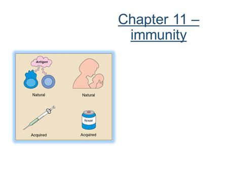 Chapter 11 – immunity. Immunity  Immunity is the protection against disease. This is possible because of the immune system and its components. Many pathogens.