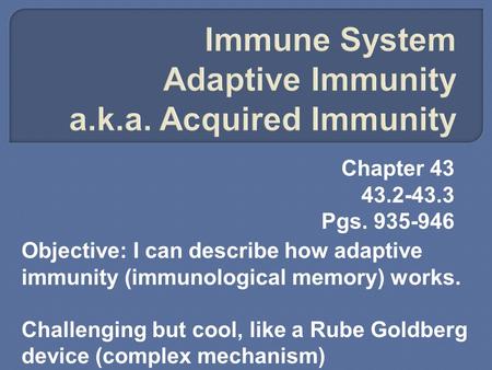 Chapter 43 43.2-43.3 Pgs. 935-946 Objective: I can describe how adaptive immunity (immunological memory) works. Challenging but cool, like a Rube Goldberg.