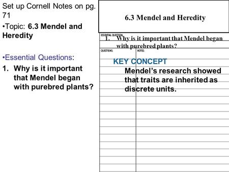 6.3 Mendel and Heredity Set up Cornell Notes on pg. 71 Topic: 6.3 Mendel and Heredity Essential Questions: 1.Why is it important that Mendel began with.