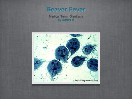 Beaver Fever Medical Term: Giardiasis by Sairra H Medical Term: Giardiasis by Sairra H.