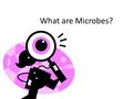 What are Microbes?. Also called prokaryotes – Domains Bacteria and Archaea.