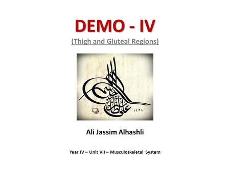 DEMO - IV DEMO - IV (Thigh and Gluteal Regions) Ali Jassim Alhashli Year IV – Unit VII – Musculoskeletal System.