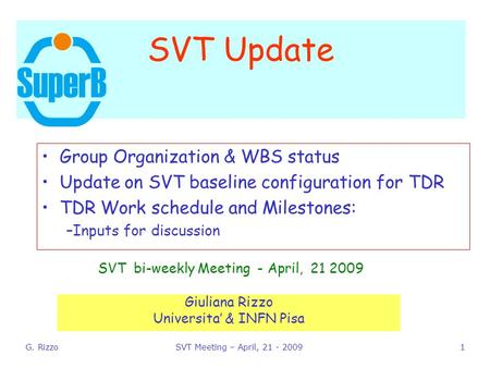G. RizzoSVT Meeting – April, 21 - 20091 SVT Update SVT bi-weekly Meeting - April, 21 2009 Giuliana Rizzo Universita’ & INFN Pisa Group Organization & WBS.
