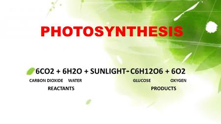 PHOTOSYNTHESIS 6CO2 + 6H2O + SUNLIGHT C6H12O6 + 6O2 CARBON DIOXIDE WATER GLUCOSE OXYGEN REACTANTS PRODUCTS.