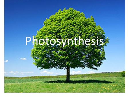 Photosynthesis. Energy and Life Living things need energy to survive. This energy comes from food. The energy in most food comes from the sun.