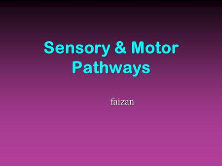 Sensory & Motor Pathways