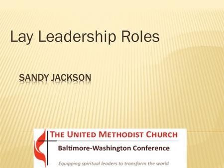 Lay Leadership Roles.  Lay Leader/Lay Member  Nominations and Leadership Development.