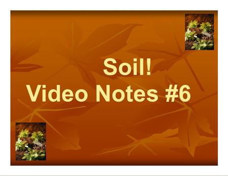 Soil! Video Notes #6. What are we going to learn… Soil-Why is it important? What is soil? Sand, Silt and Clay What’s a soil profile? Horizons? Not all.