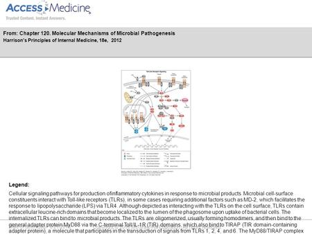 Date of download: 6/21/2016 Copyright © 2016 McGraw-Hill Education. All rights reserved. Cellular signaling pathways for production ofinflammatory cytokines.