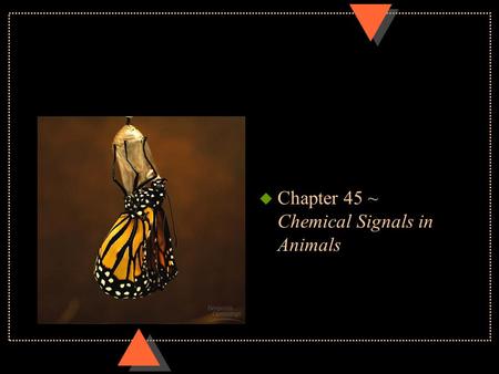 U Chapter 45 ~ Chemical Signals in Animals. Regulatory systems u Hormone~ chemical messengers secreted by endocrine gland into blood and transported to.
