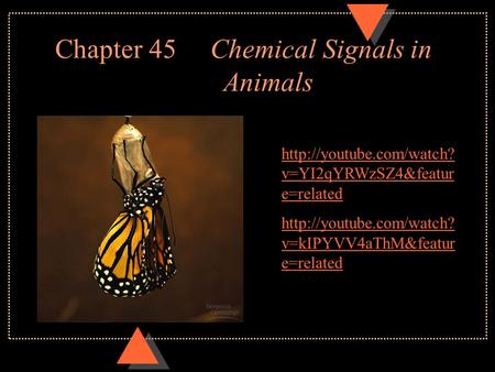 Chapter 45 Chemical Signals in Animals  v=YI2qYRWzSZ4&featur e=related  v=kIPYVV4aThM&featur e=related.