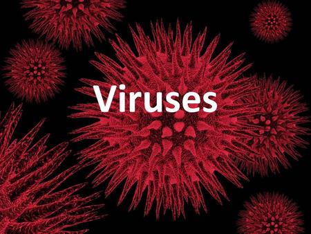 Viruses. Classifying Viruses How to tell them apart.