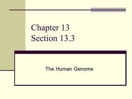 Chapter 13 Section 13.3 The Human Genome. Genomes contain all the information needed for an organism to grow and survive The Human Genome Project (HGP)