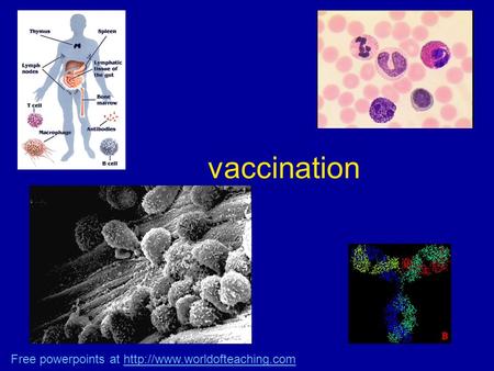 Vaccination Free powerpoints at