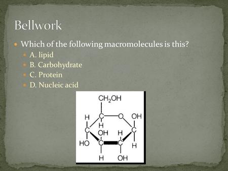 Which of the following macromolecules is this? A. lipid B. Carbohydrate C. Protein D. Nucleic acid.